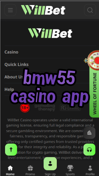 BMW55 Casino App - Luxury Car-Themed Casino-casinoorder.vip